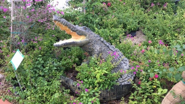 Meyer's Turf And Landscape Nursery - Photo 6