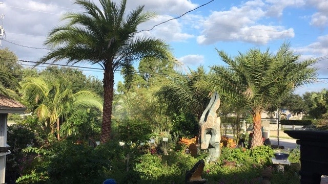 Meyer's Turf And Landscape Nursery - Photo 14