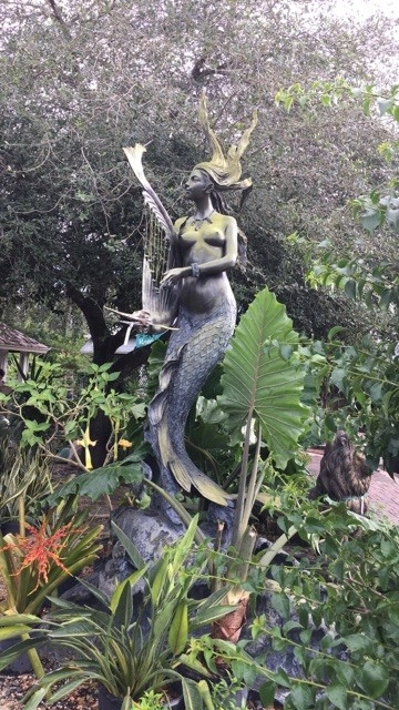 Around the shop by Meyer's Turf And Landscape Nursery - Photo 6