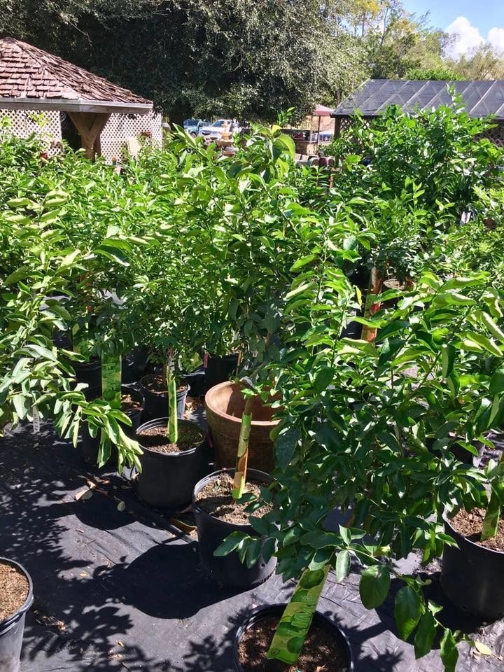 Meyer's Turf And Landscape Nursery - Photo 2