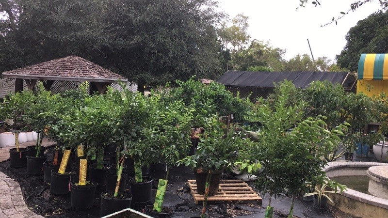 Meyer's Turf And Landscape Nursery - Photo 13