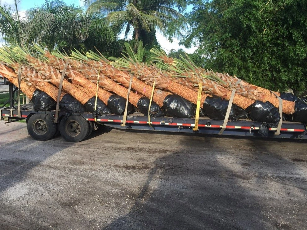 Meyer's Turf And Landscape Nursery - Photo 9