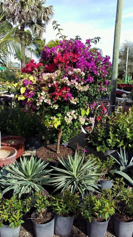 Meyer's Turf And Landscape Nursery - Photo 4