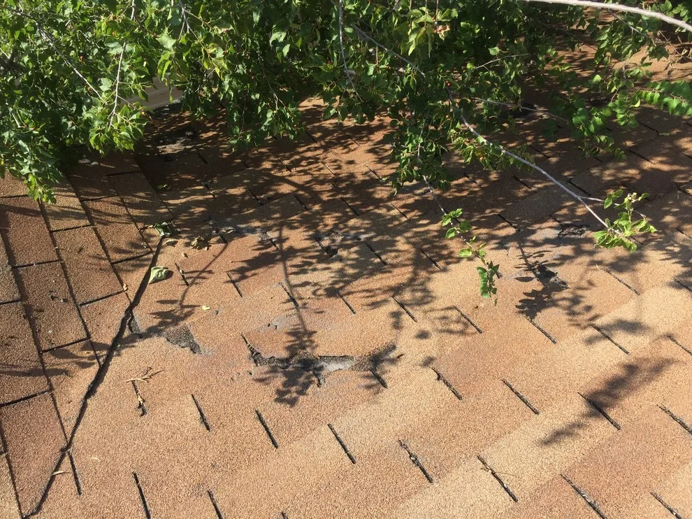 Roof Replacement by Grace Builders And Construction - Photo 23