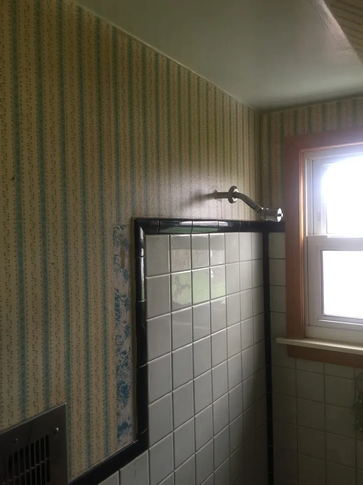Oak Park restroom renovation by MAS Building And Renovations - Photo 7