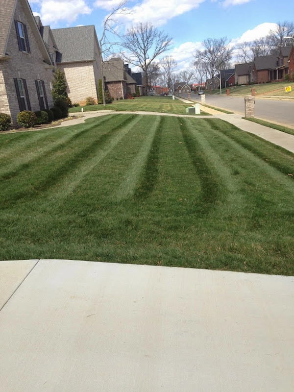 Lawn Care by All Summer Landscaping - Photo 6