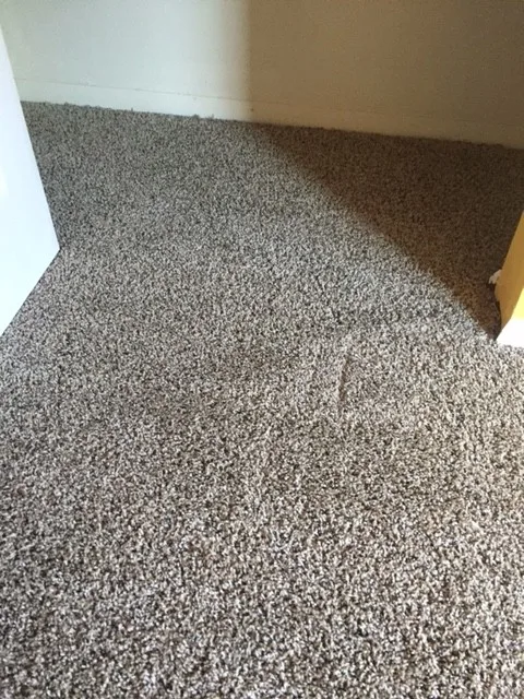 Our Initiatives by Tropical Painting & General Construction Co. - Photo 9