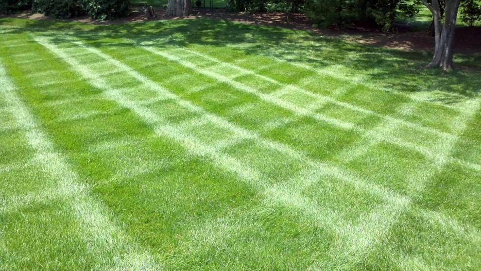Lawn Care by All Summer Landscaping - Photo 3