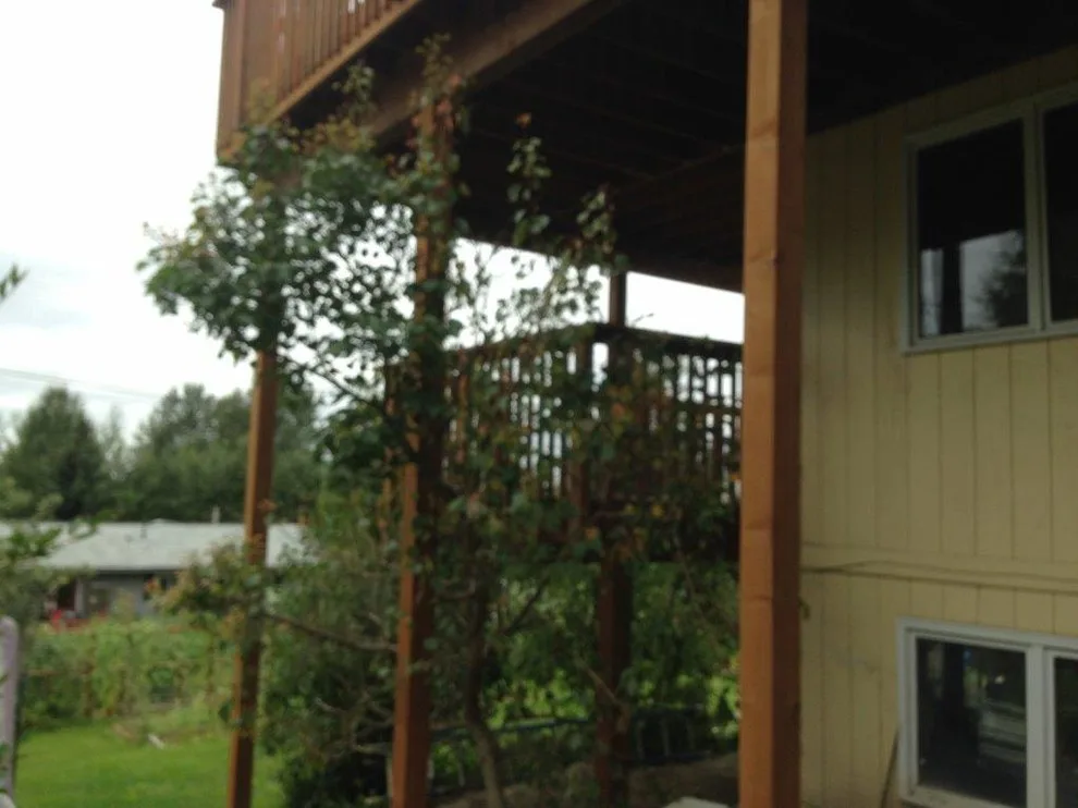 Verandas and Outdoor Spaces by Bema Construction - Photo 3