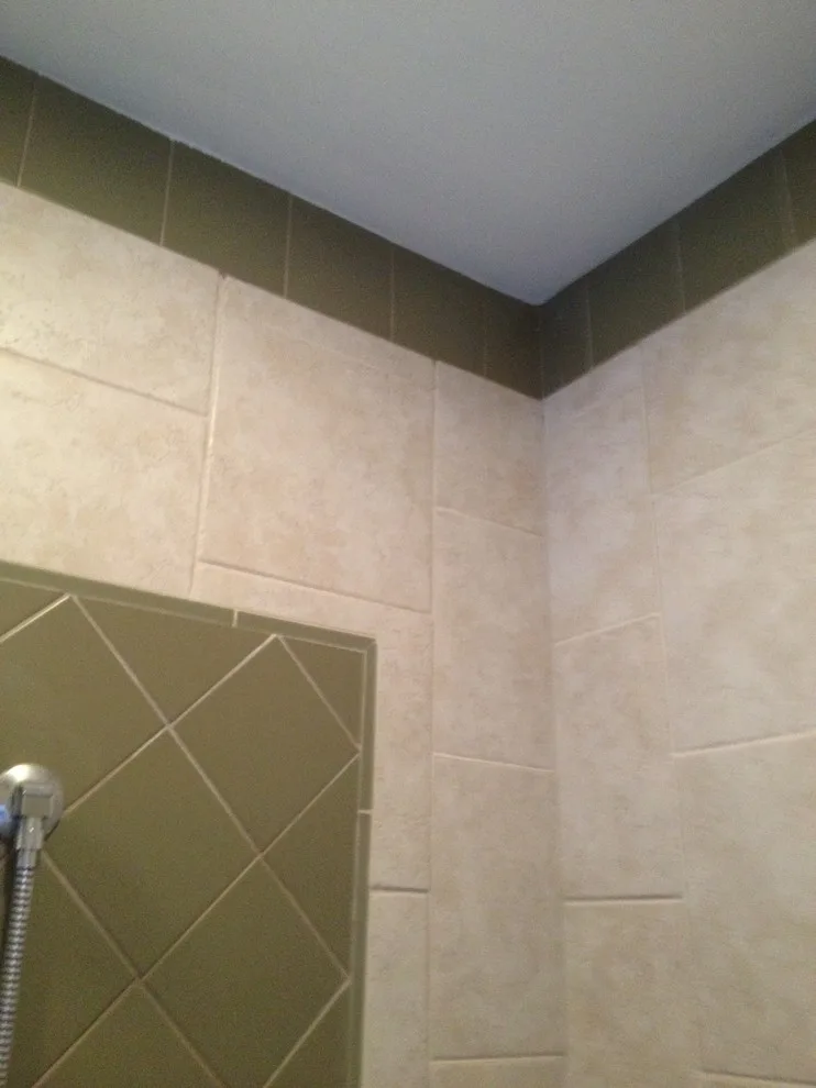 Pacific, MO Bathing Facility by Onesta Construction - Photo 7