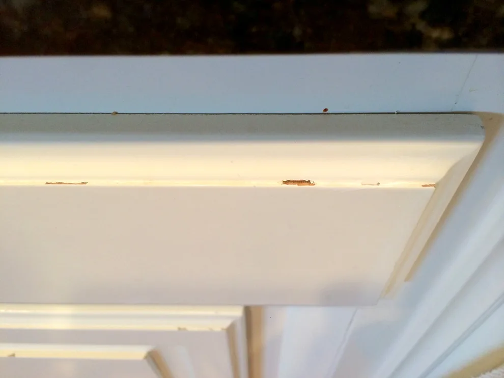 Cabinet Painting - September 2014 by Isom Construction Inc - Photo 3