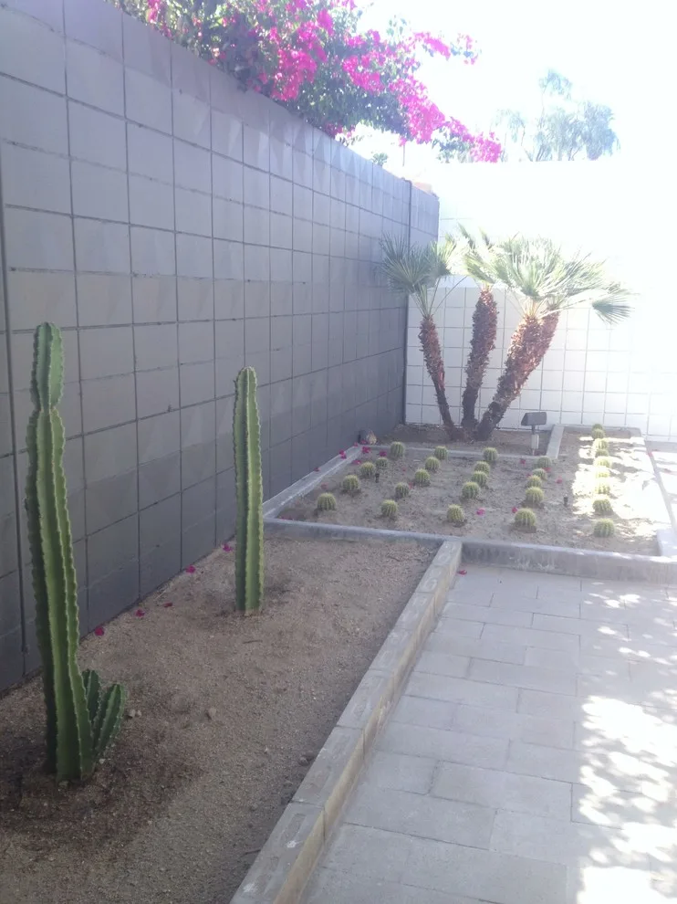 Desert Palm - Sandpiper by Shields Residential Inc. - Photo 12