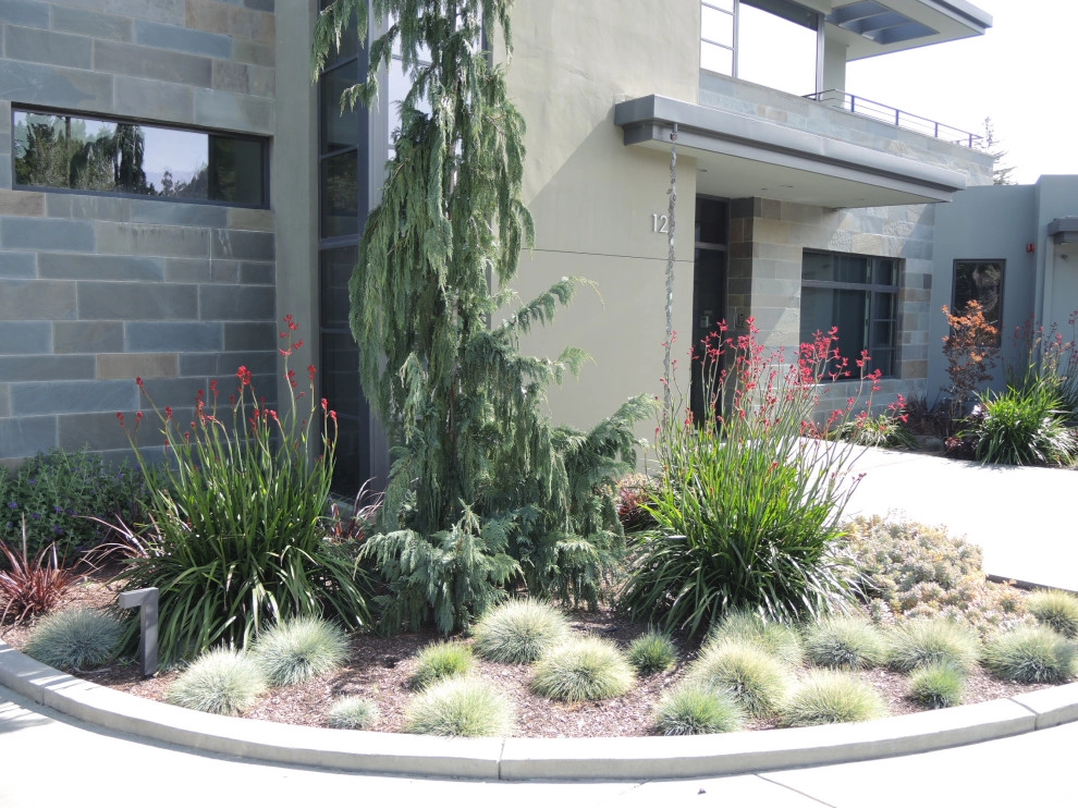 Contemporary natural setting by Michael Rosenberg Landscape Architecture - Photo 6