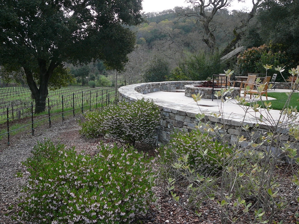 Vineyard Estate by Michael Rosenberg Landscape Architecture - Photo 5