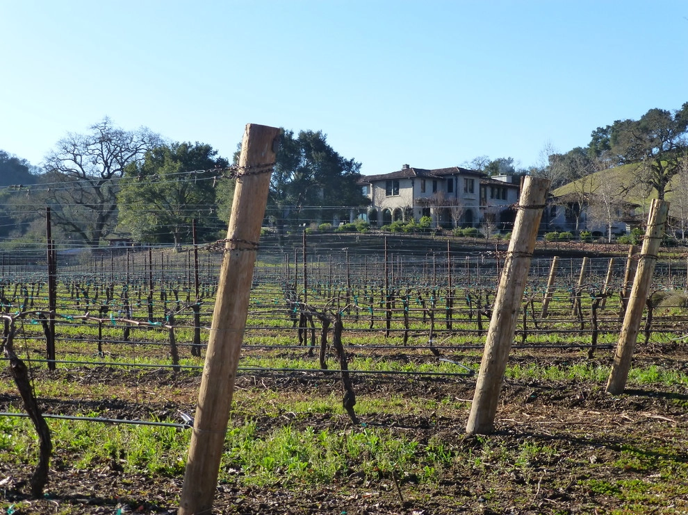 Vineyard Estate by Michael Rosenberg Landscape Architecture - Photo 11