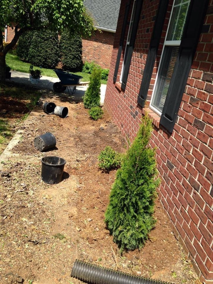 Landscaping by All Summer Landscaping - Photo 18