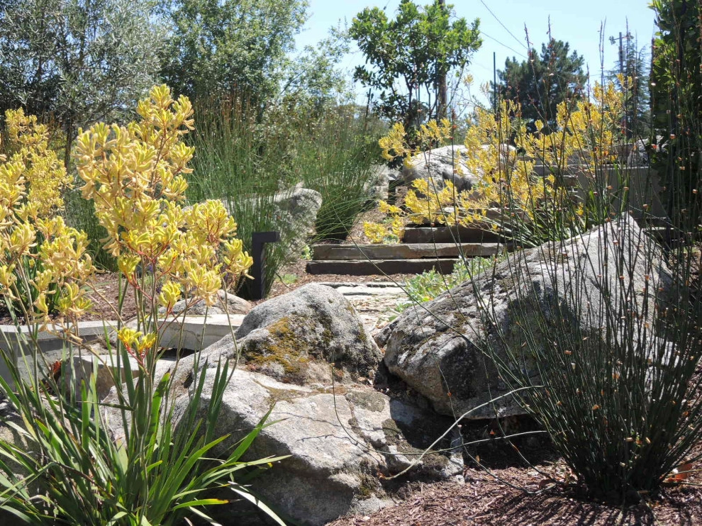Contemporary natural setting by Michael Rosenberg Landscape Architecture - Photo 10