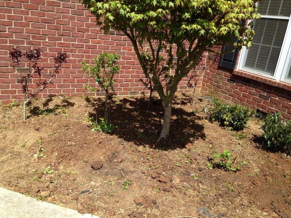 Landscaping by All Summer Landscaping - Photo 19