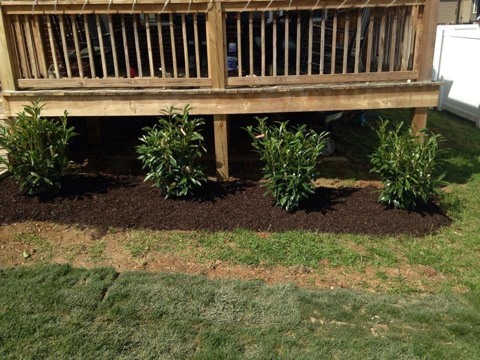 Landscaping by All Summer Landscaping - Photo 16