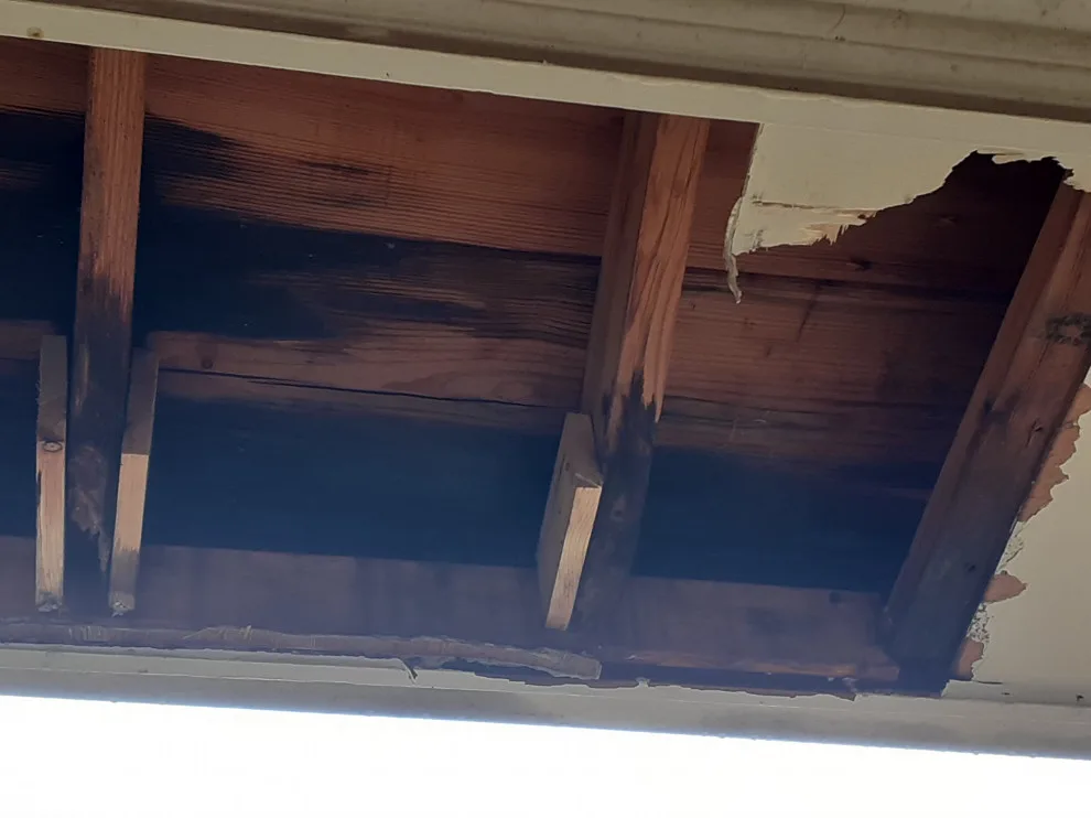 Roof Leak Detection by B. Smart Construction - Photo 2