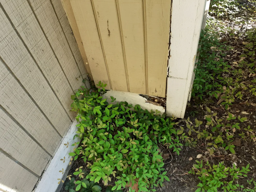 Decomposed Timber by B. Smart Construction - Photo 2