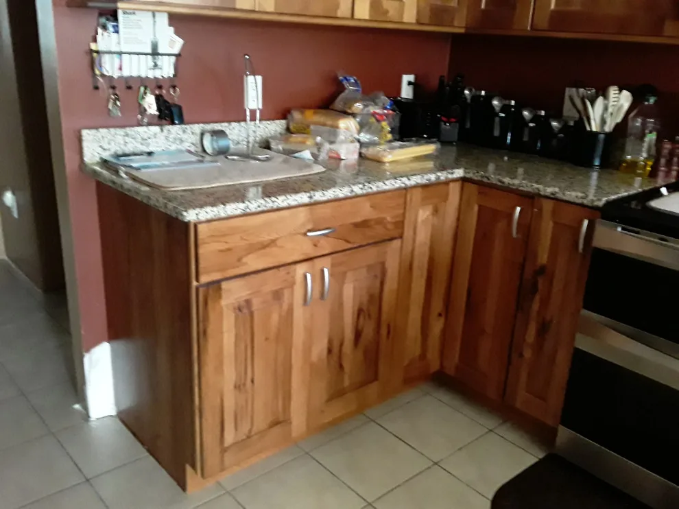 Mold Management by B. Smart Construction - Photo 3