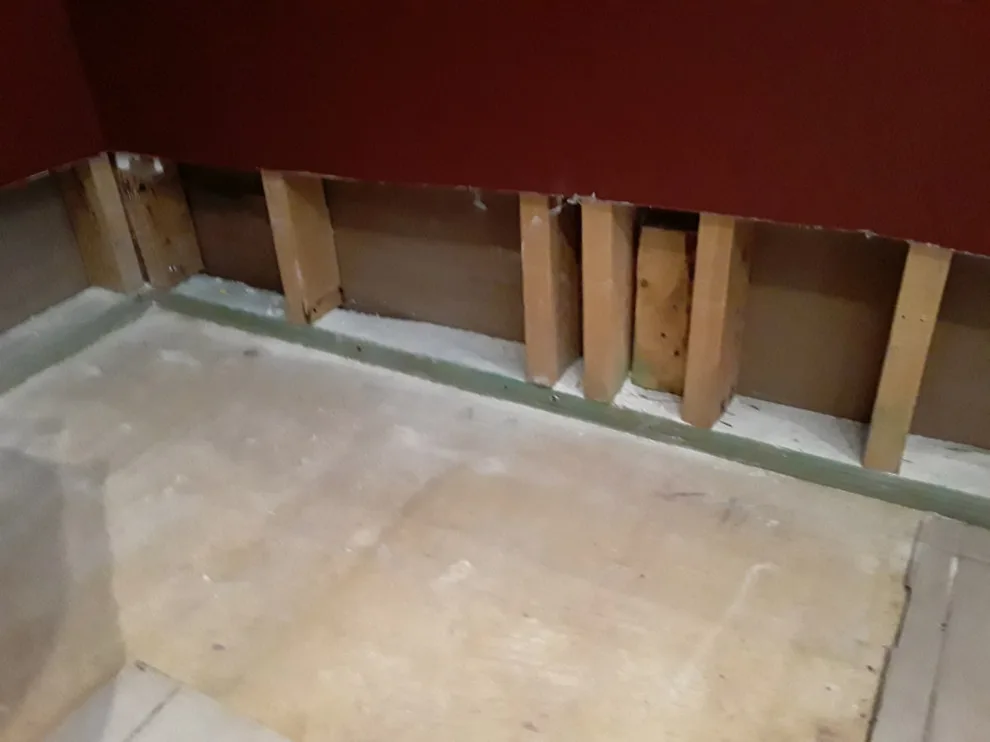 Mold Management by B. Smart Construction - Photo 2
