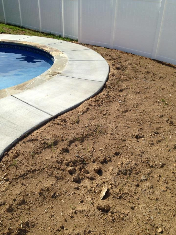 Landscaping by All Summer Landscaping - Photo 10