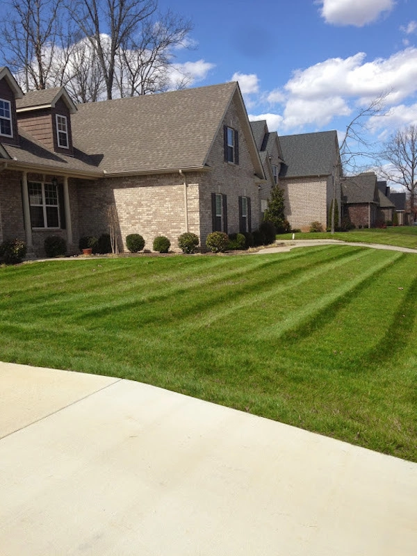 Lawn Care by All Summer Landscaping - Photo 5