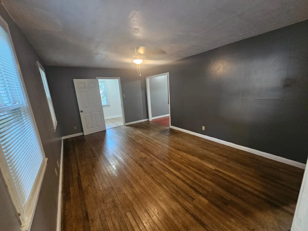 Kingston renovation by Worst Case Scenario LLC - Photo 6
