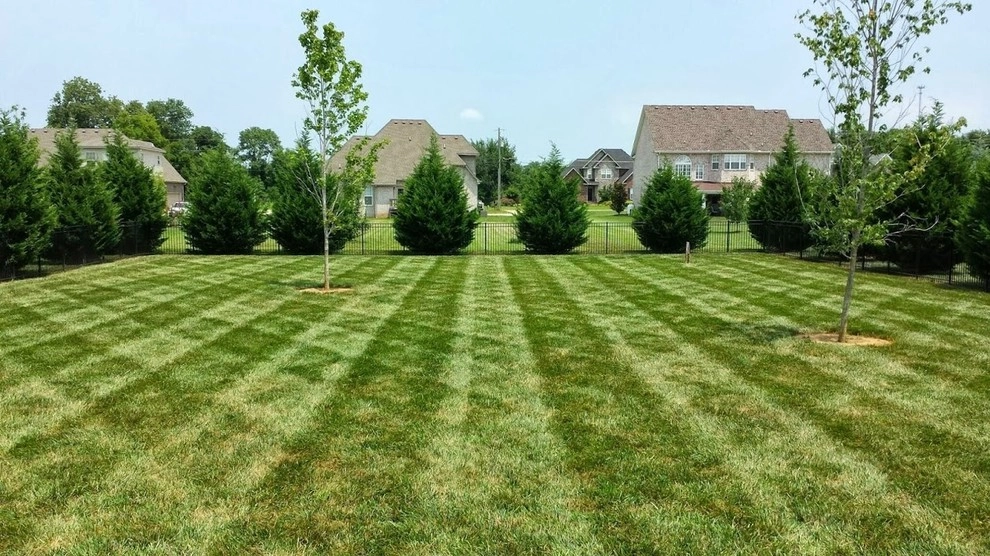 Lawn Care by All Summer Landscaping - Photo 4