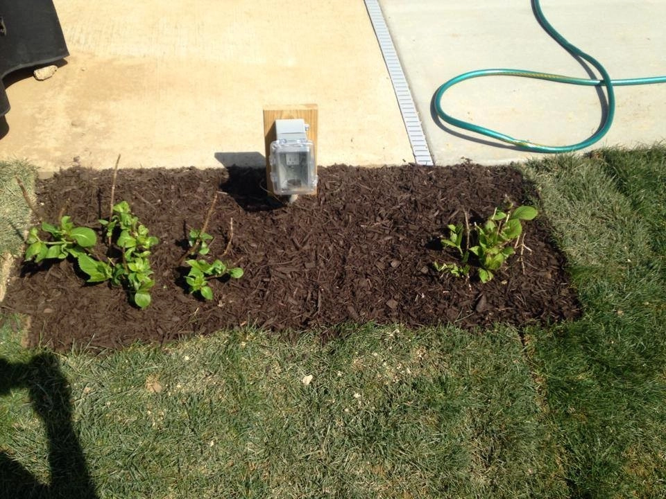 Landscaping by All Summer Landscaping - Photo 7