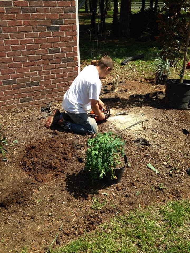 Landscaping by All Summer Landscaping - Photo 12