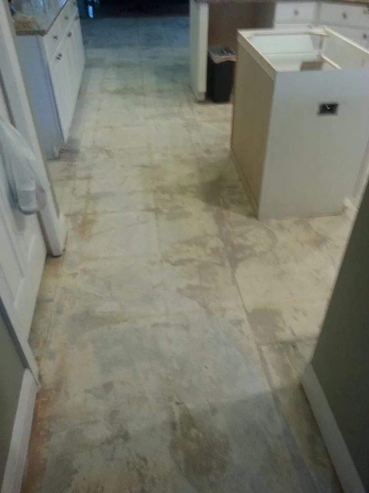Potter Floor Tile Renewal by Avant & Avant Construction Inc - Photo 2