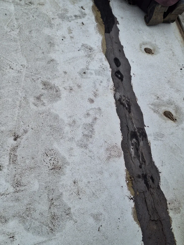 exterior power washing and waterproofing for extra room by Rigos Painting Services - Photo 2