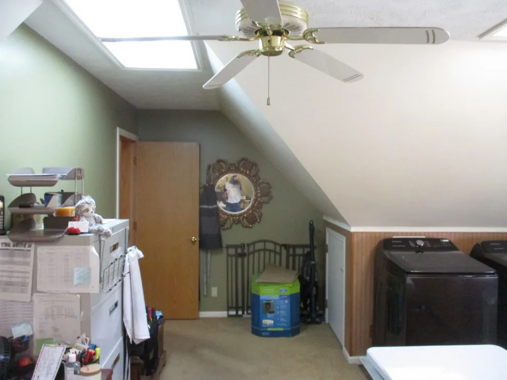 Golden Oak Pest Control in Lake Area by Paul Davis Restoration-Lincoln - Photo 8