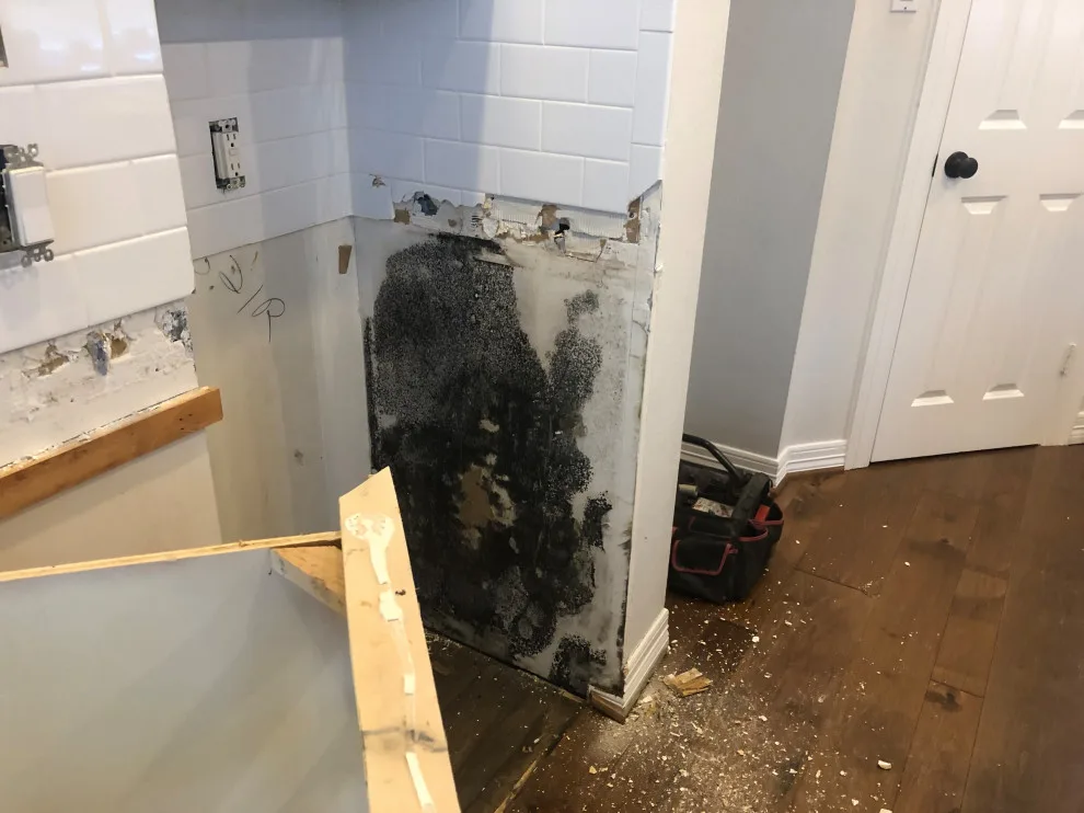 Moisture-related damage by Gulf Coast Renovations - Photo 4
