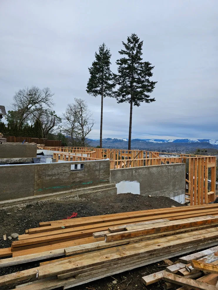 Framing Project by L & M Custom Builders - Photo 34