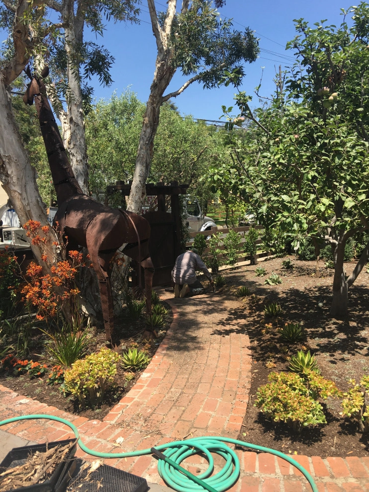 Cape Cod Style Cottage home by MLM LANDSCAPE DESIGN, L.L.C. Merri Lee Marks - Photo 11