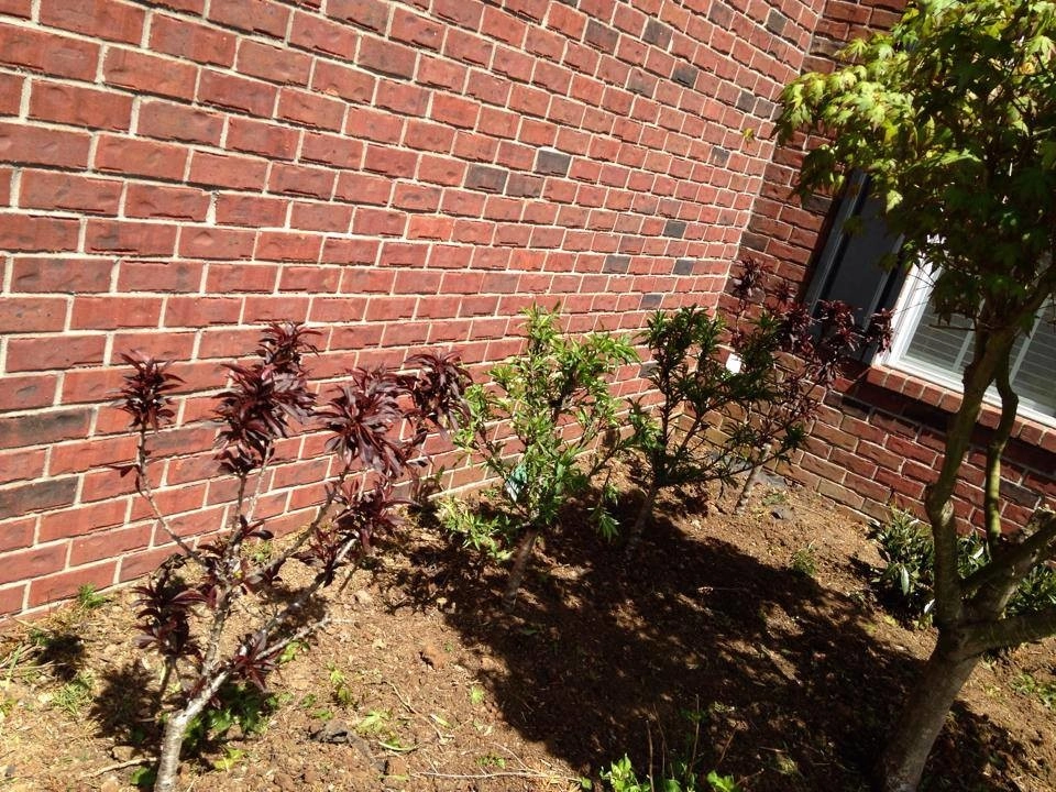 Landscaping by All Summer Landscaping - Photo 14