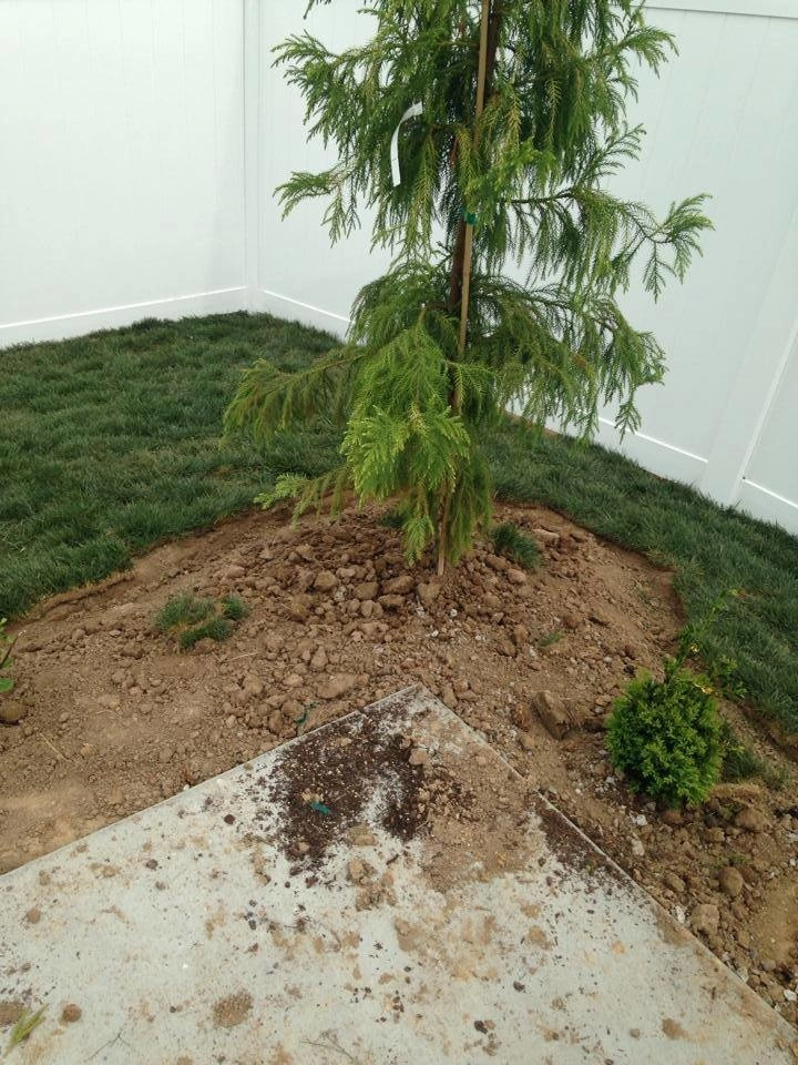 All Summer Landscaping - Photo 10