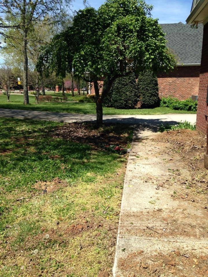 Landscaping by All Summer Landscaping - Photo 15