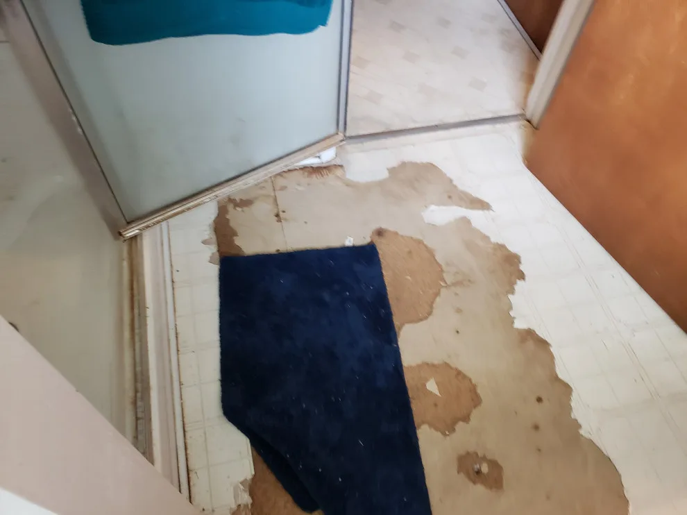 Flooring Repair and Replacement / Subfloor Restoration by Western Platinum Services LLC - Photo 9