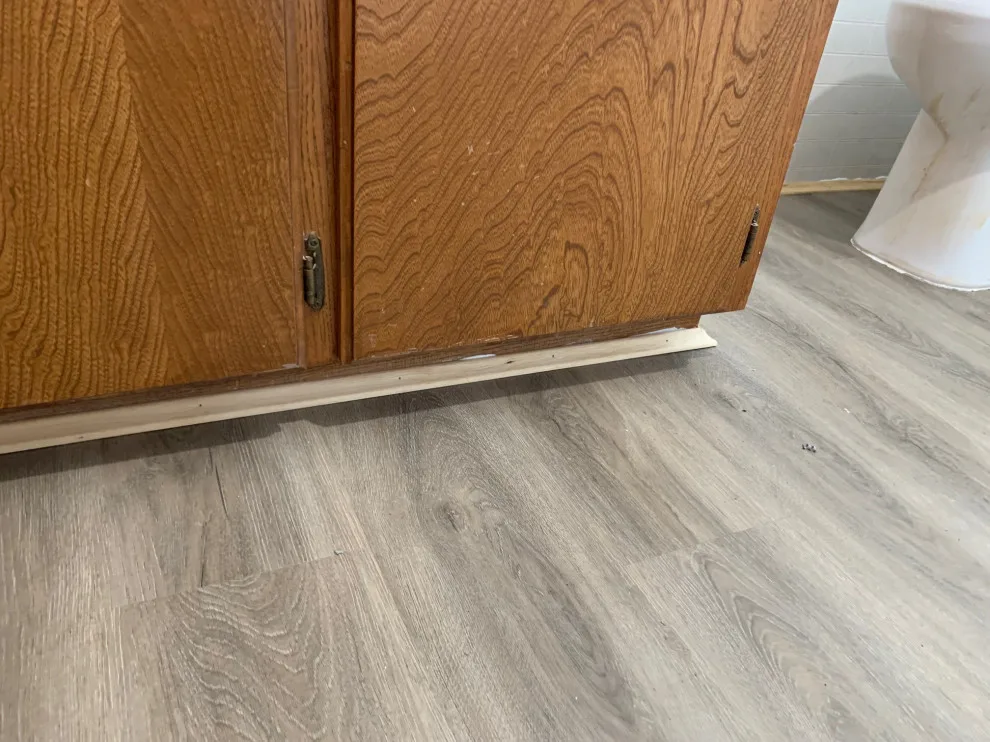 Flooring Repair and Replacement / Subfloor Restoration by Western Platinum Services LLC - Photo 7