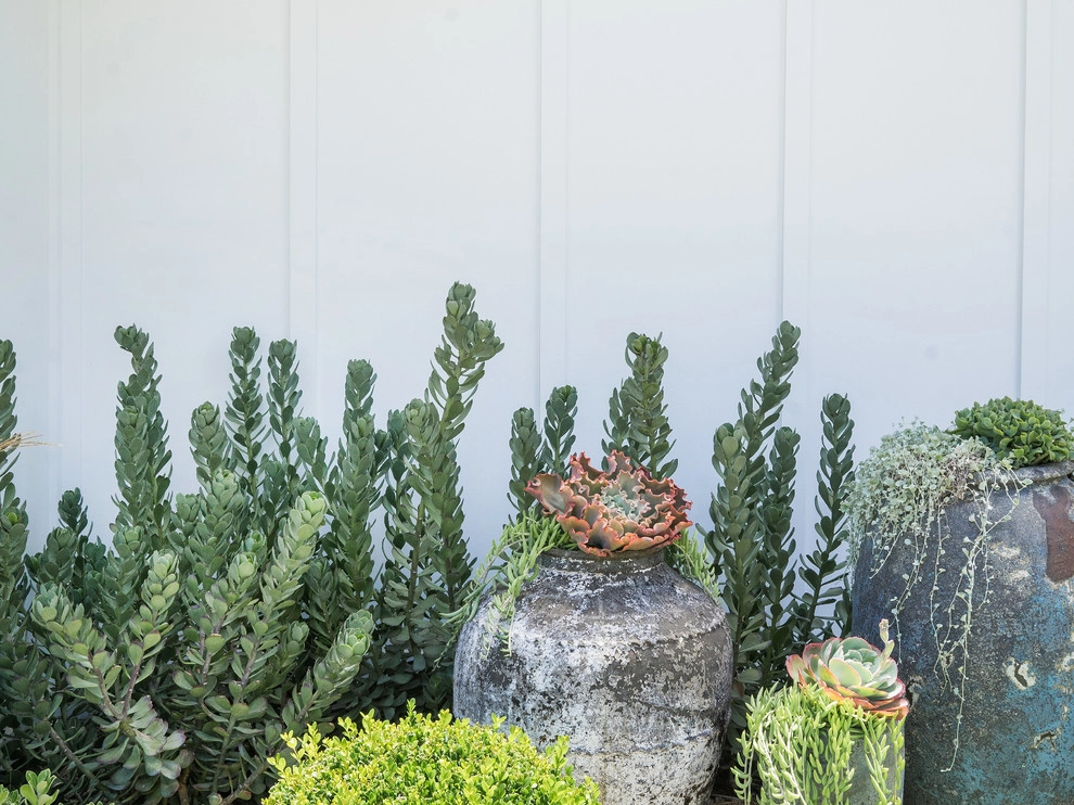 Napa Meets Newport by Molly Wood Garden Design - Photo 7