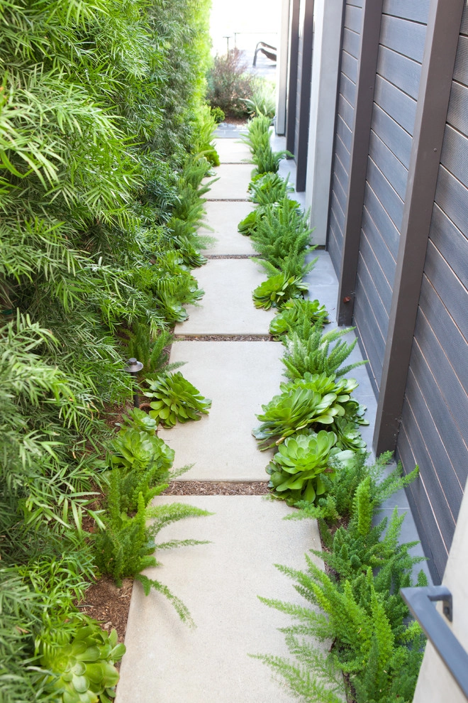 Masculine Modern by Molly Wood Garden Design - Photo 6