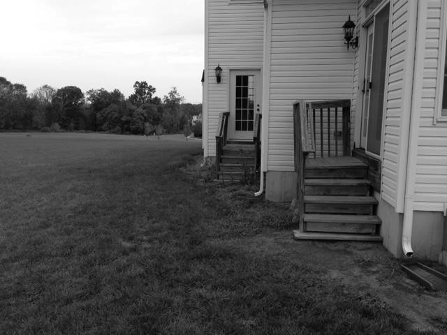 Before / Afters by Apple Tree Landscapes, Inc. - Photo 56