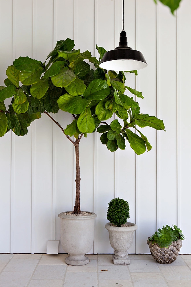 Casual Family Compound by Molly Wood Garden Design - Photo 14