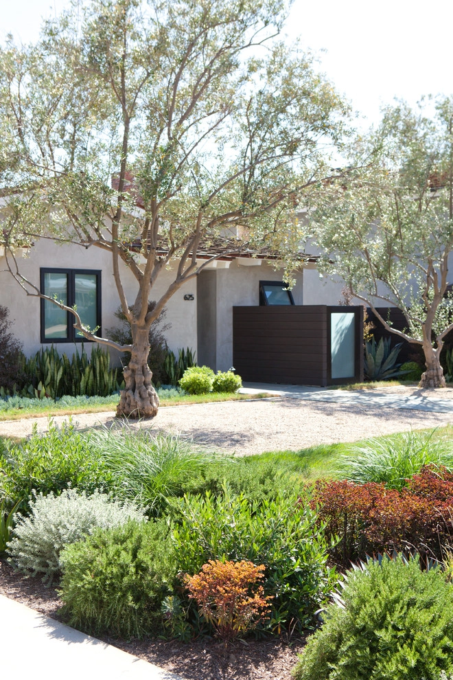 Masculine Modern by Molly Wood Garden Design - Photo 7