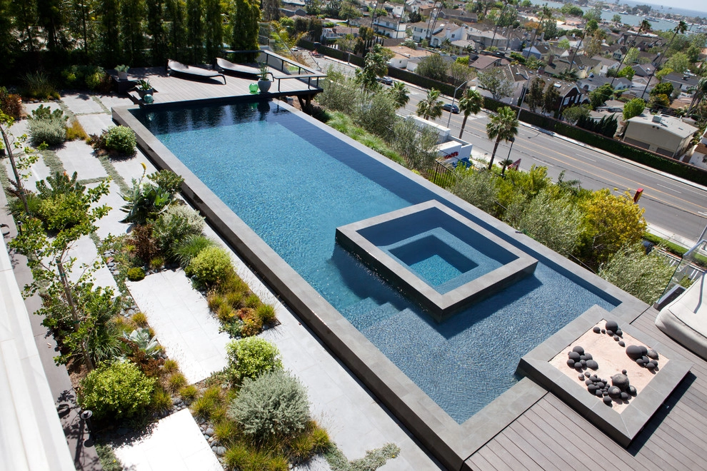 Masculine Modern by Molly Wood Garden Design - Photo 2